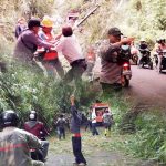 Pohon Bambu Tumbang di Desa Leleko, Akses Jalan Raya Patalingaan Macet